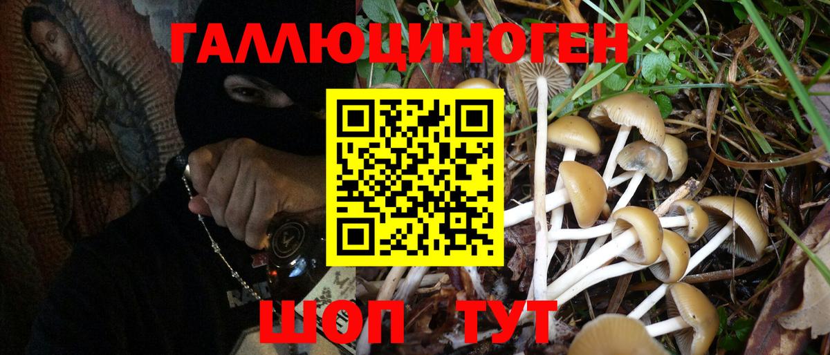 купить  цена  Вход с VPN  Димитровград  Галлюциногенные грибы MAGIC MUSHROOMS 