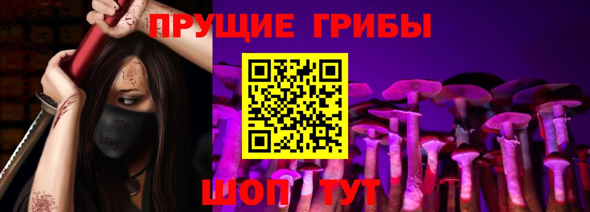 Псилоцибиновые грибы GOLDEN TEACHER Димитровград